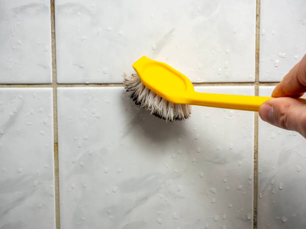 Attic Mold Removal in Buffalo Grove, IL