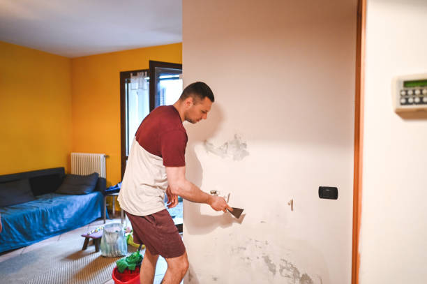 Best Affordable Mold Removal  in Buffalo Grove, IL