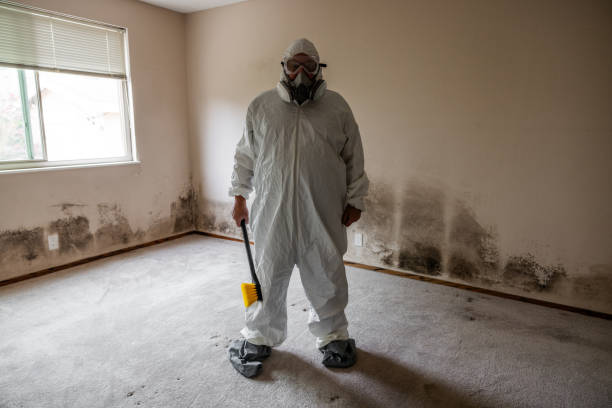 Crawl Space Mold Removal in Buffalo Grove, IL